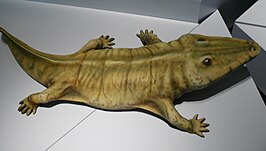 Capitosaurus