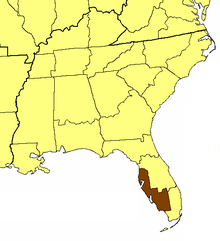 Location of the Diocese of Southwest Florida