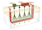 A diagram of one shale oil extraction process