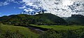 Landscape of Kannan Devan Hills