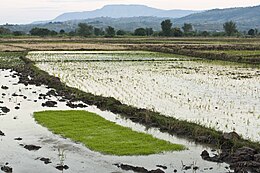 Karonga – Veduta