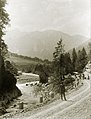 Klausenstraße Mellau, 1904; das Naturdenkmal „Stein mit Tanne im Wasser“ wurde beim Hochwasser 2005 weggeschwemmt.