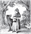 The folktale Little Red Riding Hood is retold in the film Hoodwinked