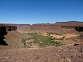 Image 13Terjit oasis in the Adrar Region (from Mauritania)