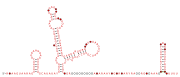 BTnc005 Secondary structure taken from the Rfam database. Family RF04178