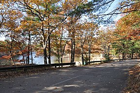 Straße und Badesee im Schutzgebiet