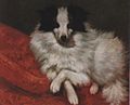 Gustave Courbet: Studie eines Hundes