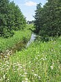 Hunte bij kasteel Ippenburg tussen Bad Essen en Bohmte