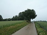 Tumulus van Wouteringen