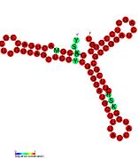 P13: Secondary structure taken from the Rfam database. Family RF01665