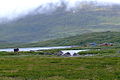 Arasluokta, eine der Samensiedlungen im Nationalpark