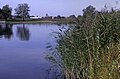 An der Havel beteiligt sich die Stiftung an einer der größten Flussrenaturierungen Europas, kilometerlange Steinbefestigungen an den Ufern wurden entfernt