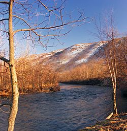 The Lehigh River in East Penn Township in March 2010