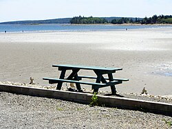 Rose Bay Beach, also known as Sand Dollar Beach[1]