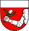 Arm aus natürlicher Wolke am Schildrand (Grundsheim)