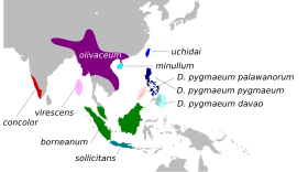 Bản đồ lãnh thổ sinh sống của loài Dicaeum minullum