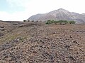 Plateau near the ocean