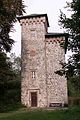 Ruine der Burg Aremberg