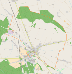 Mapa konturowa Szadka, na dole znajduje się punkt z opisem „Cmentarz żydowski w Szadku”