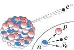 β−-Strahlung (Protonen rot, Neutronen blau)