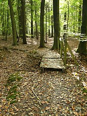 Een bruggetje op de Lonnekerberg