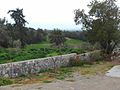 A view of Morfou gulf