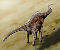 30 m'yi aşan uzunluklara ulaşan Diplodocus, Jurassic'in sonlarında yaygın bir sauropod idi.