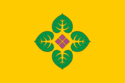 Flag of Yergyolyokh