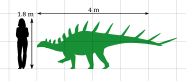 New Kentrosaurus size chart