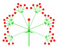 Schema eines Pleiochasium