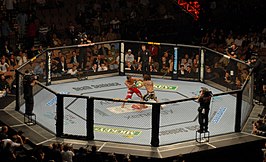 Ultimate Fighting Championship