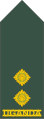 Lieutenant (Ugandan Land Forces)[80]