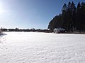 Het Vihtla järv in de winter