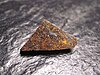 A photograph of a polished fragment of the Zaklodzie meteorite showing its unusual orange matrix and generous amount of included metal flakes