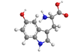 Molecular model of 5-hydroxytryptophan