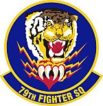 79th Fighter Squadron