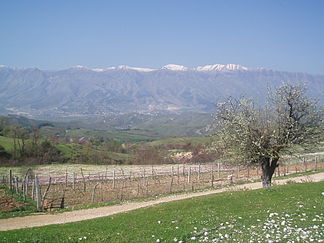 Blick übers Drinostal nach Gjirokastra und den Mali i Gjerë