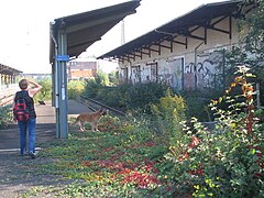 Bahnhof Frankfurt-Mainkur (2008)