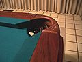 An oblique view of a corner pocket of a pool table. (See "billiard table" for other table types.)