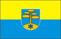 Vlag van de gemeente Haaslava