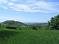 Zertalte Hügelzone am Odenwald-Rand zur westlich vorgelagerten Rheinebene: Vom Hemsberg (links) bis zum Eichelberg (rechts) bei Bensheim, von Unter-Hambach aus.