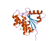 1xww: Crystal Structure of Human B-form Low Molecular Weight Phosphotyrosyl Phosphatase at 1.6 Angstrom Resolution