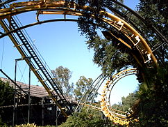 Python in Busch Gardens Tampa