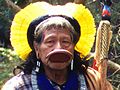 Kayapo-Mann, Indianervolk des Amazonasgebiets im brasilianischen Mato Grosso und Pará, mit Lippenteller.