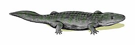 Watsonisuchus