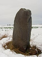 Der Rugestein von Zschoppach