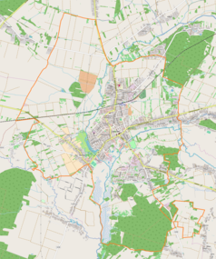 Mapa konturowa Lubaczowa, w centrum znajduje się punkt z opisem „Parafia Świętego Mikołaja”