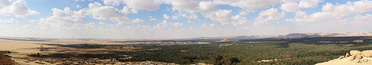 Az oázis panorámaképe