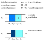 Neue Vektorgrafik