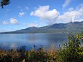 Lake Quinault